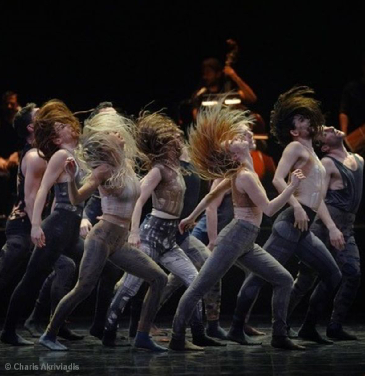 Salema — hair whip row